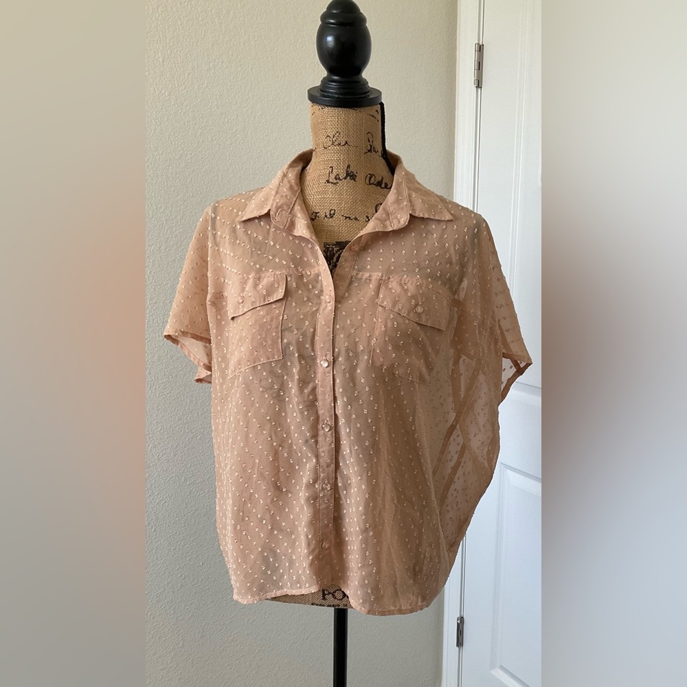 Y2K Vintage Elegant Sheer Blouse with Button-Up Design